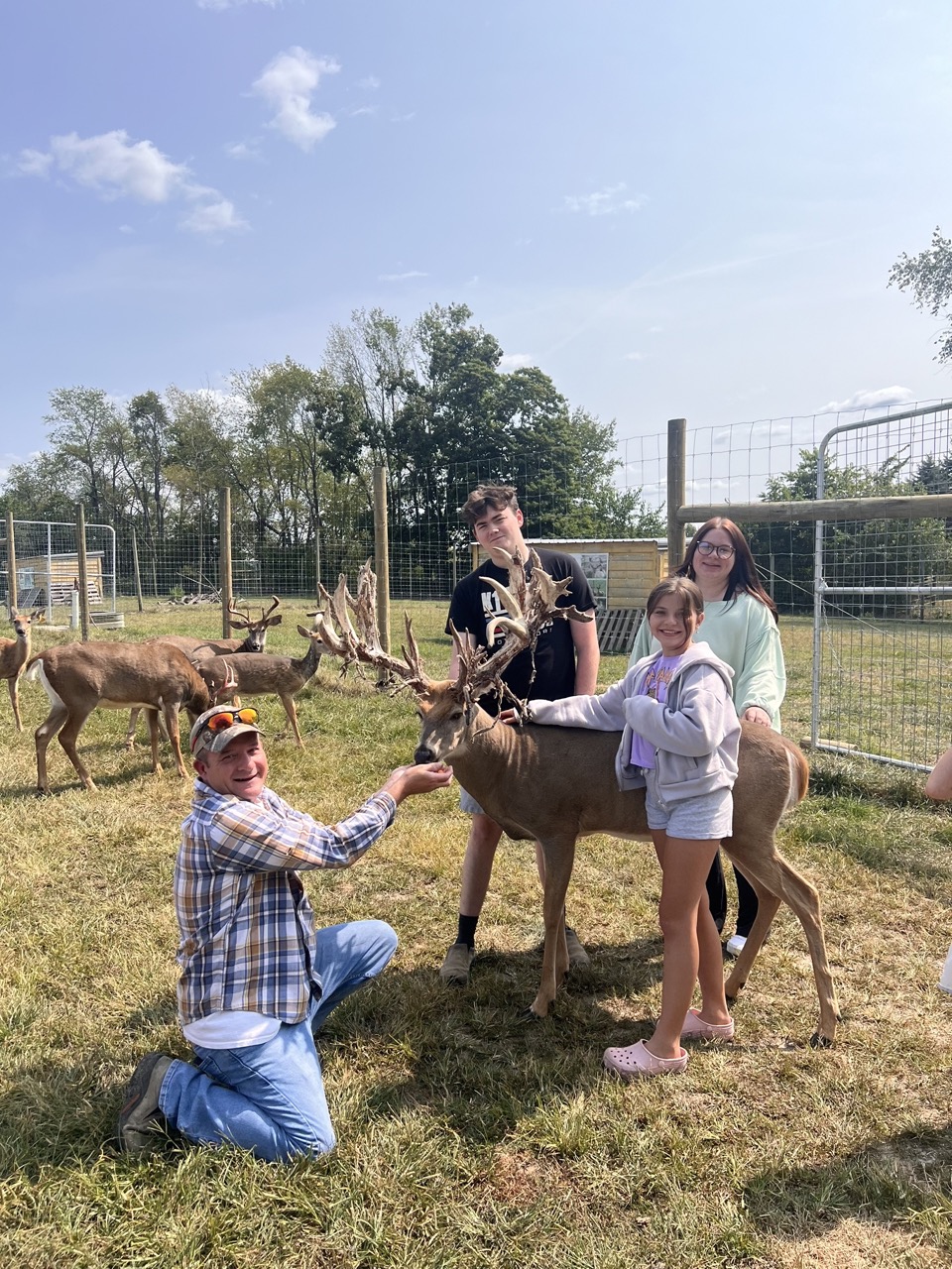 Kids Deer Pic 2024 Large